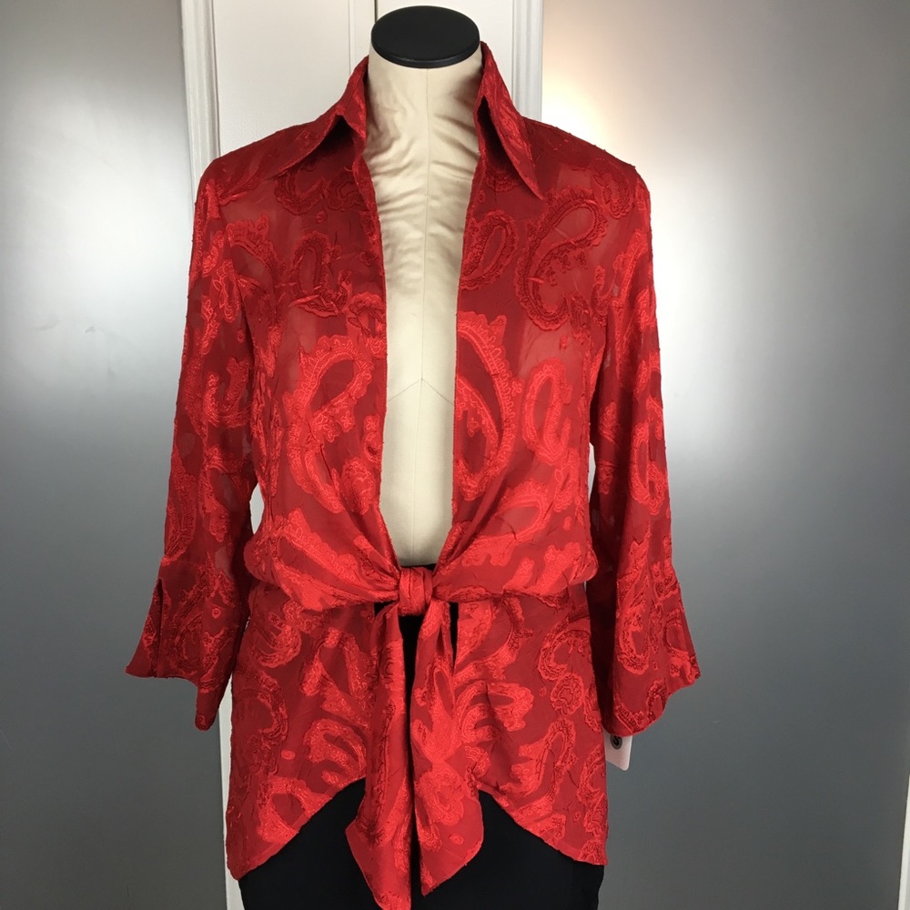 Vintage Sheer Tie Front Cardigan Small Red Paisley